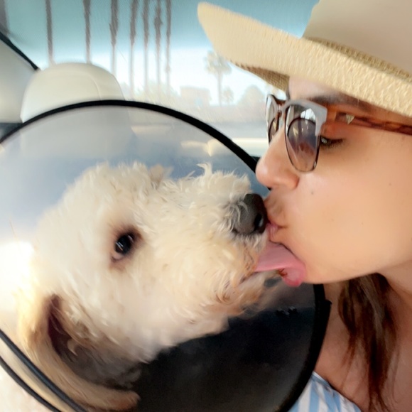 Meet the Posher - Picture 1 of 2